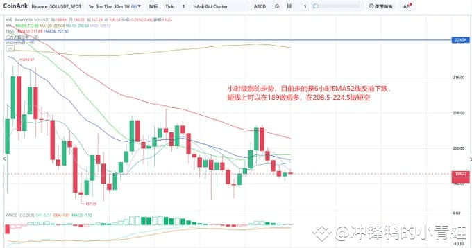 SOL币价分析：震荡中的机会与风险