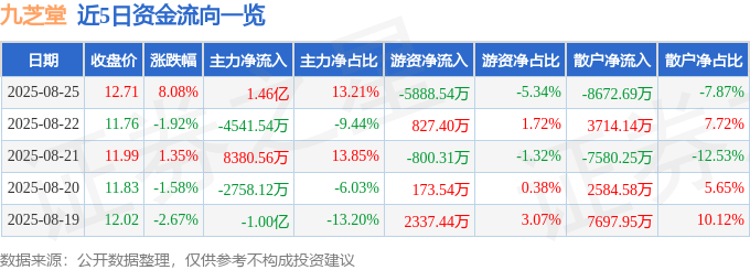 近5日资金流向