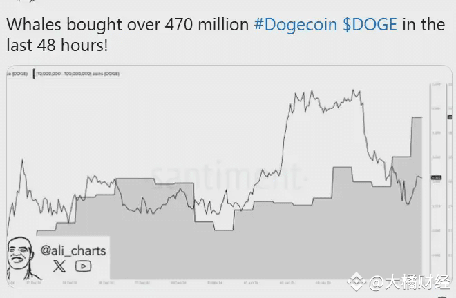 狗狗币DOGE：在动荡市场中逆风飞翔？